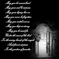 A final farewell and a tribute