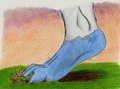 Where Foxes (and every other species >.>) Belong by Herakilla