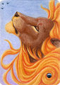 ACEO - Dreamer