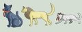 I Love Catalia by AmericanYangire