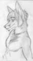 Flirty Foxy~! By Sidian~!  by Zerika