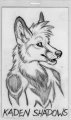 Rukis Badge~!  by Zerika
