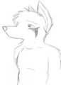 Fabel by AngelinaShen by Fabel