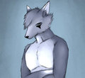 Fabel by BurningFox by Fabel