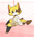Kaimera February