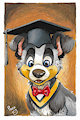 Graduation