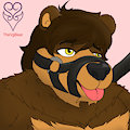 Harness for the Bear