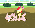 the year of the pig