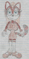 Phoebe the Raccoon