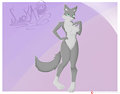 Kattia (Wolf)