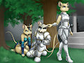 Commission for Jakerabbit