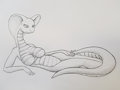 Queen and servant (random lizards)