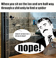 spider in the bathroom OC meme