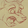 Muzzles