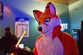 Foxy at the Foxtrot by Blitzkriegfox
