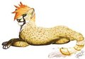I'm Mrs. Sunshine by Nameria