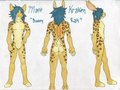 Matt Kraken Ref Sheet - FIN by Zerika