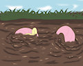 Muddy sailor pony fluttershy