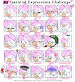 BirbSash Expressions