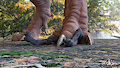 Trex Footrest