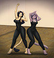Dancing cats