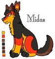 a guy with the midas touch