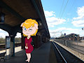 Sandy:  Welcome Aboard!