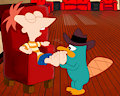Perry's kink by DCWT