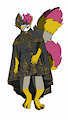Cape coat