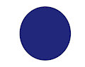 BlueberryDarren 2