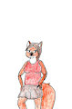 Kit sketch