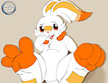 [PAWS, CLEAN, SMELLY] Scorbunny !!!