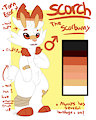 Scorch the Scorbunny Ref