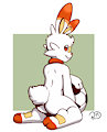 Scorebunny Warmup