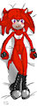 Scarlet Pillow Front