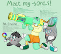 Meet my -sonas! by valedraws
