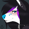 echo by Echowolfc
