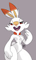 2019-03-03 scorbunny