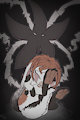 Distortion