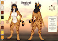Kestrel reference sheet