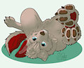 Paws 'N' Fluff by Waldi