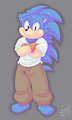Sonic Redesign