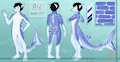 Diz Refsheet