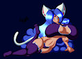 Miruru Cat Wear