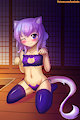 Chalcy's Cat Lingerie