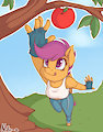 Apple Buruma Project - Scootaloo #2 by Nekome