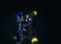 Let's watch shooting stars