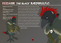 Commission - Reidarr Rædwulf Character Sheet