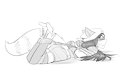 Ferret In A Familiar Situation