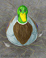 Patreon- Mallard by KynoMeow